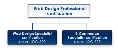 Web Design Professional