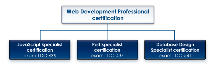 Web Development Professional