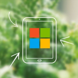 Wielka wiosenna obniżka cen kursów Microsoft