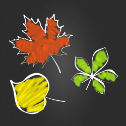 Jesienią w Compendium drugi kurs gratis!