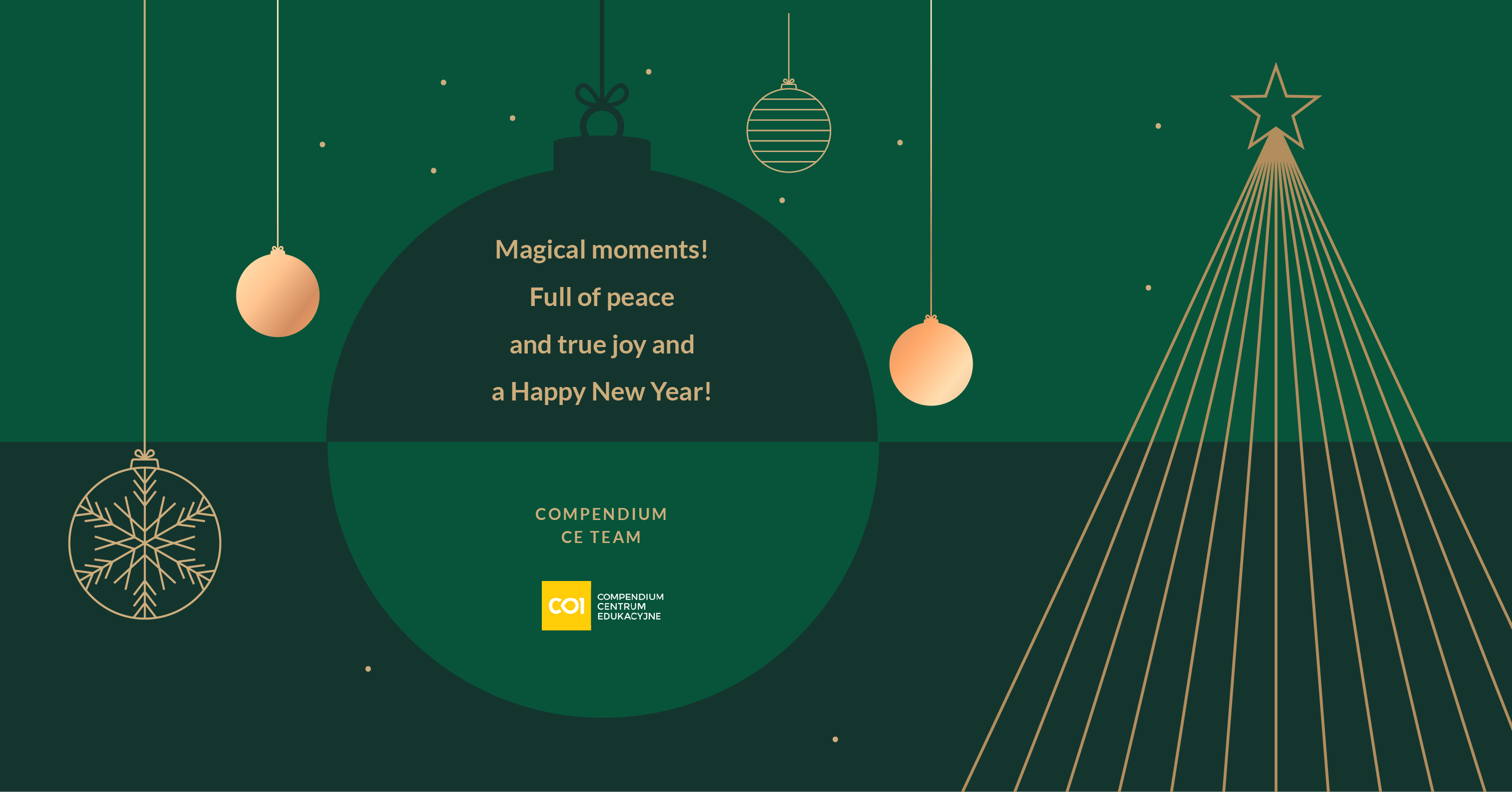 MERRY HOLIDAYS AND HAPPY NEW YEAR!